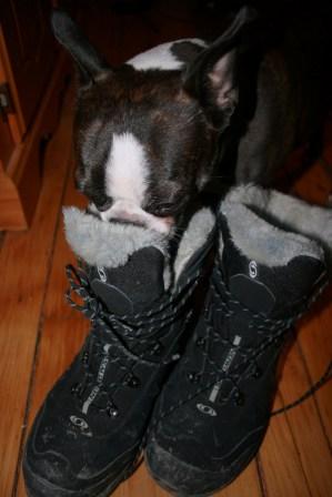 quebec city travel wear