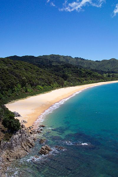 beach newzealand live in newzealand emigrate new zealand