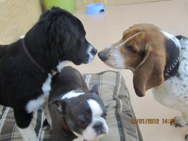 395815_273694789358152_165727166821582_754290_1774980261_n