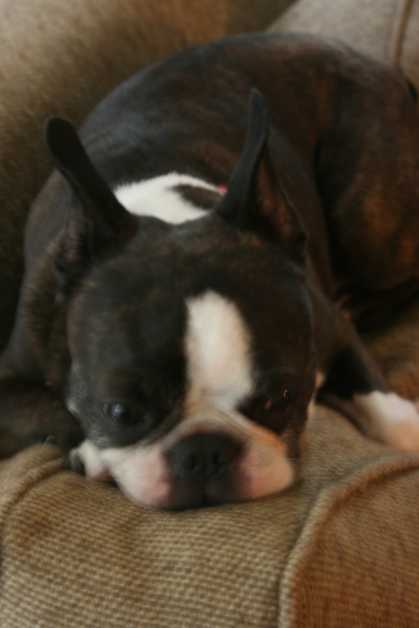 travel blog expat quebec expat blog