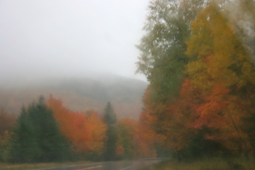 Leaf peeping, Maine, leaf peeping tips, travel blog Maine leaves, leaf peeping, travel blog