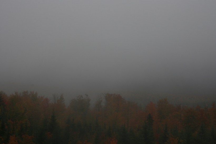 leaf peeping, tree line, Maine leaf peeping, New England travel, travel blog