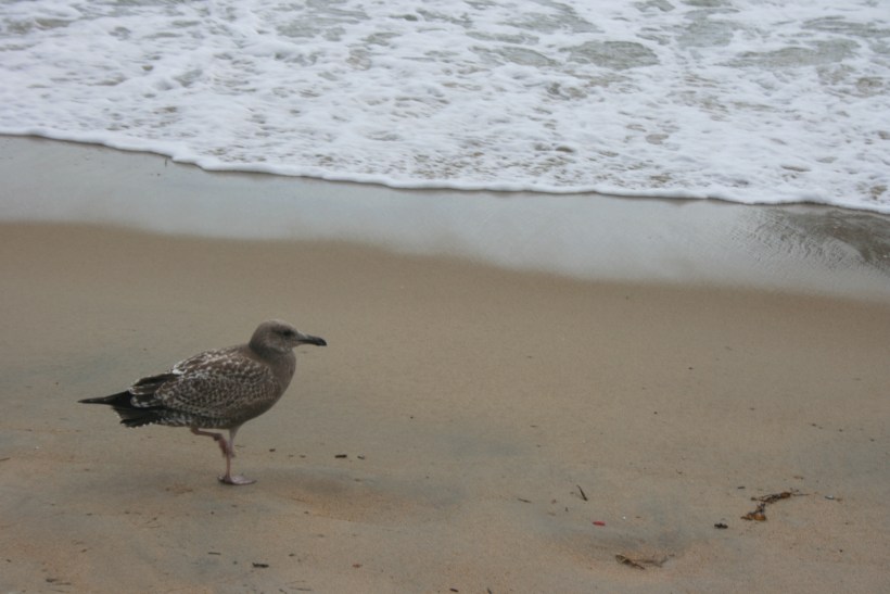 travel photo tips, Maine travel