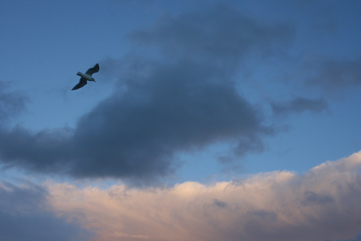 travel writing tips, why to travel