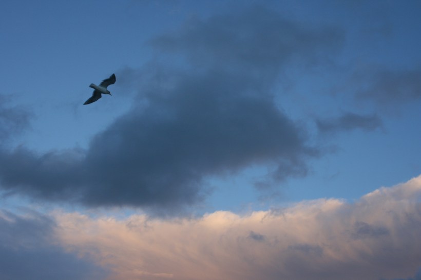 seattle travel blog, travel blog, travel writing tips travel writing tips, why to travel