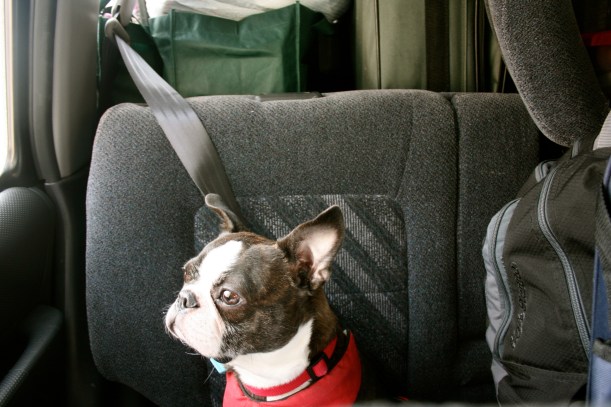 expat-tips-moving-tips-travel-blogs