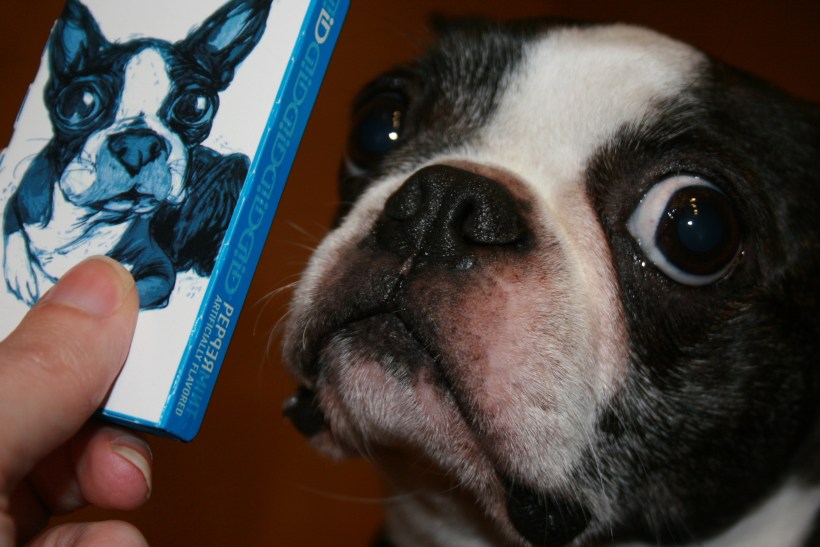 copywriting tips, writing jobs