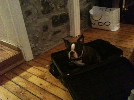 friendship-expat-humor-travel-blog