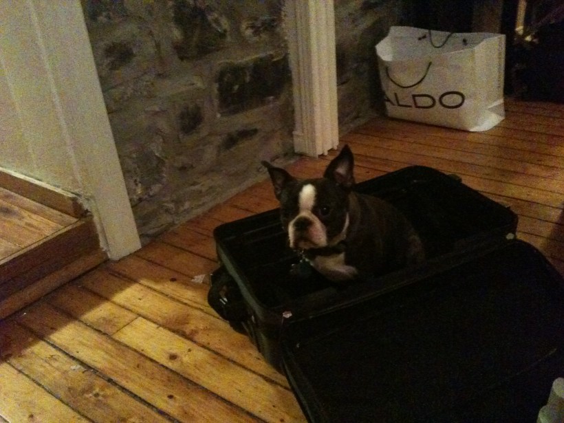 friendship-expat-humor-travel-blog