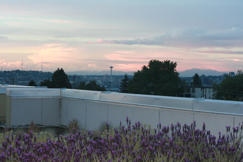 Seattle-travel-Daiso-Japanese-dollar-store