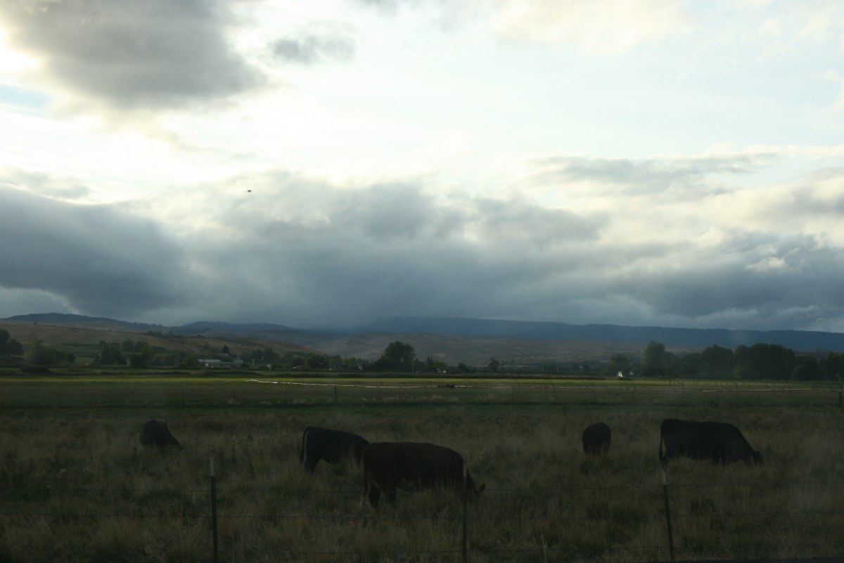 Yakima Valley, Eastern Washington Travel