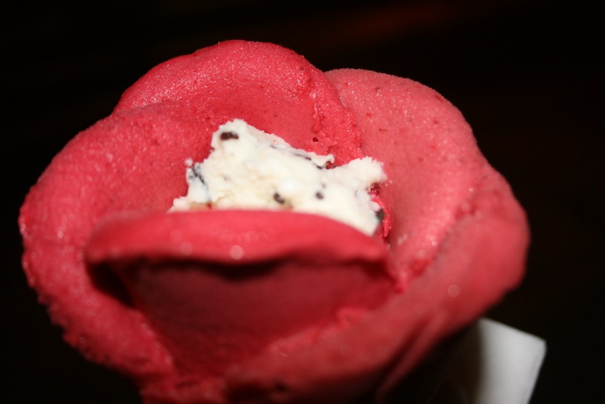 Paris Travel-Gelato Rose