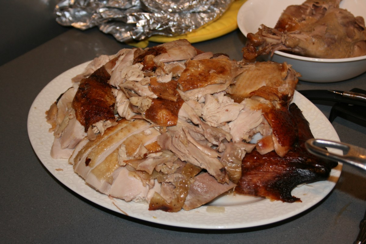 young-turkey-thanksgiving-turkey-day