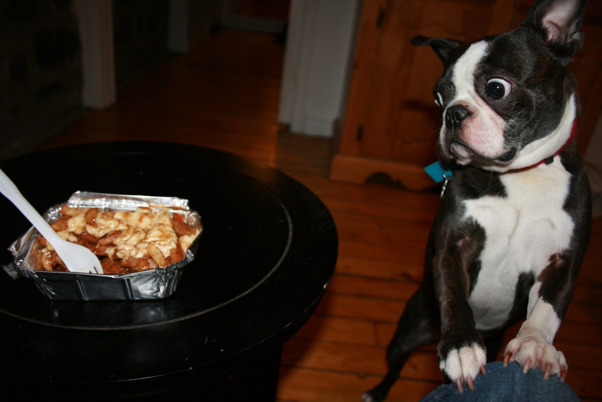 Thanksgiving Poutine