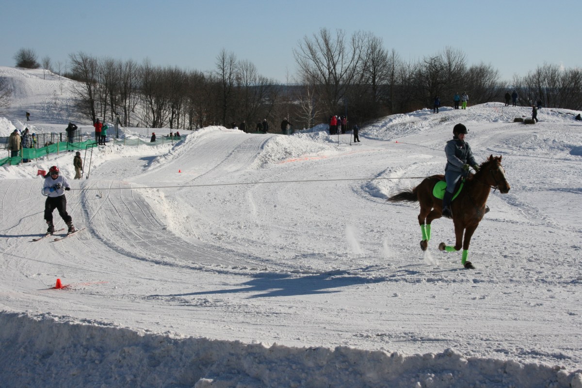 Skijoring. The next big thing in Olympic Sports.