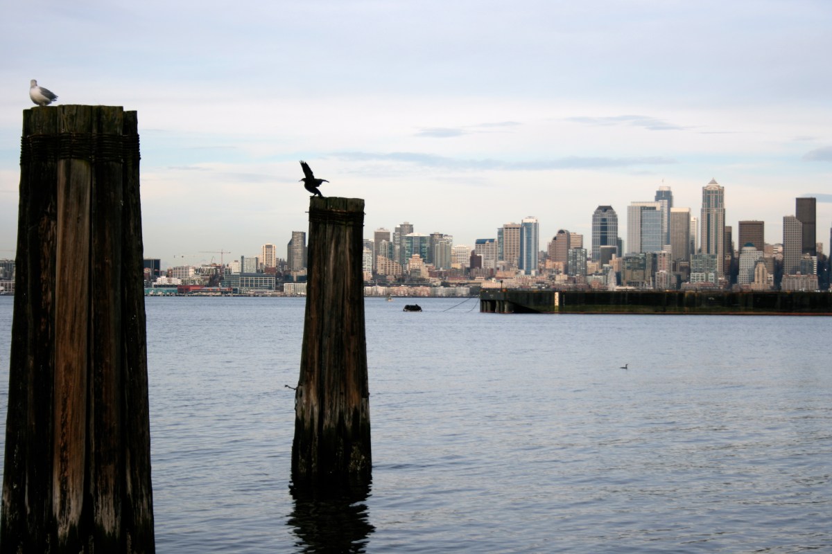 Travel and Life Advice