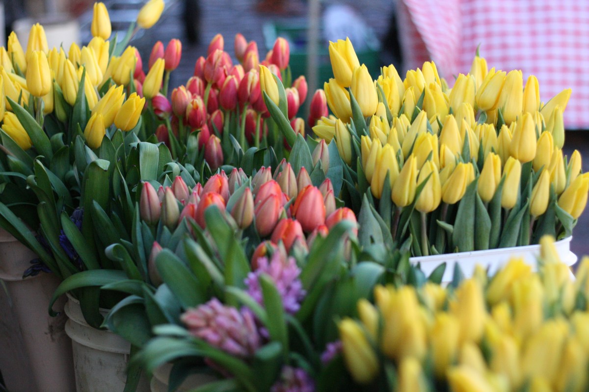 Flowers at Pike's Place Market
