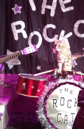 One of the Rock Cats