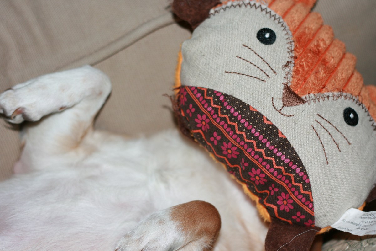 I don't know how to describe this